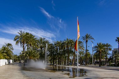Elche, Alicante, İspanya; Şubat 2017: Palmeral Elche, İspanya'nın, en büyük dünyada. UNESCO mirası