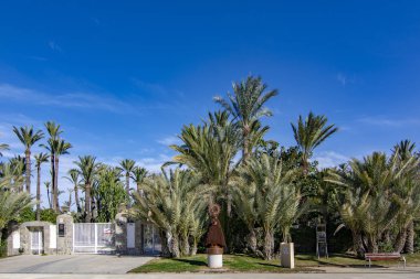 Elche, Alicante, İspanya; Şubat 2017: Palmeral Elche, İspanya'nın, en büyük dünyada. UNESCO mirası