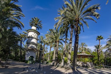 Elche, Alicante, İspanya; Şubat 2017: Palmeral Elche, İspanya'nın, en büyük dünyada. UNESCO mirası