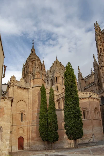 Schöner blick auf die kathedrale von salamanca — Stockfoto