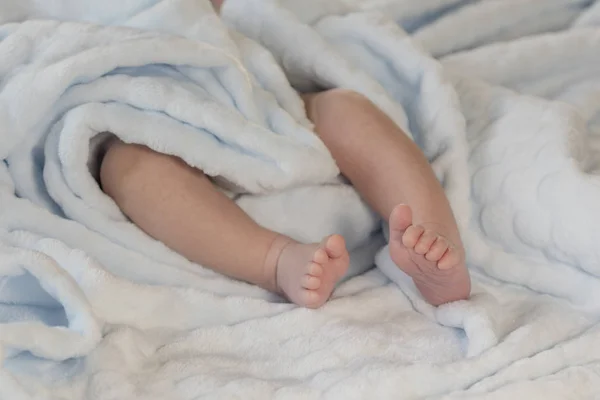 Baby feet on blue coverlet — Stock Photo, Image
