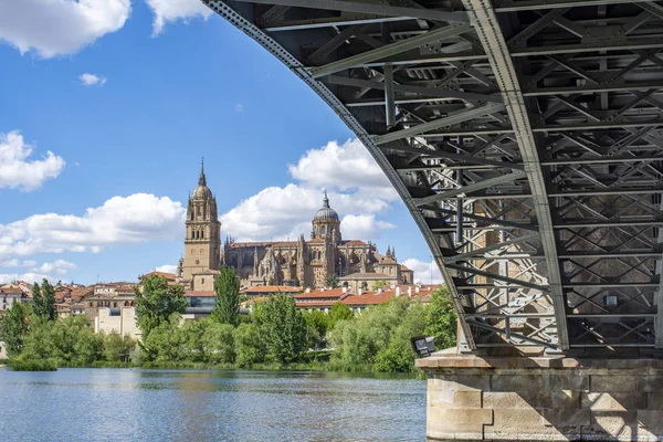 Salamanca con fiume Tormes e cattedrale. Castiglia e Leon, Spa — Foto Stock