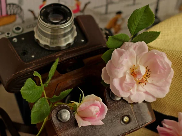 Vieil appareil photo vintage en cuir et roses sur fond de chapeaux — Photo
