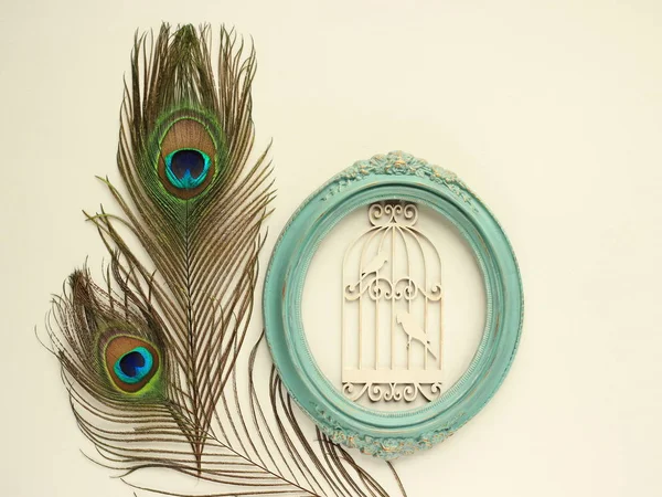 Clothing and home decoration. Beautiful peacock's feathers, wooden decor and elegant vintage frame on white background. Top view horizontally with place for text. — Stock Photo, Image