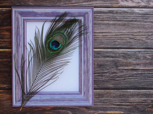 Pfauenfedern auf violettem Rahmen und dunkelbraunem Holzbrett. — Stockfoto