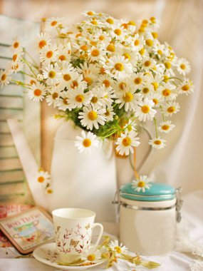 Masada vazo suyundaki papatya çiçekleri. Aile, Aşk ve Sadakat Günü için tebrik kartı. Papatya çiçekleri, kahve fincanı ve mutfak gereçleriyle hafif bir sahne.