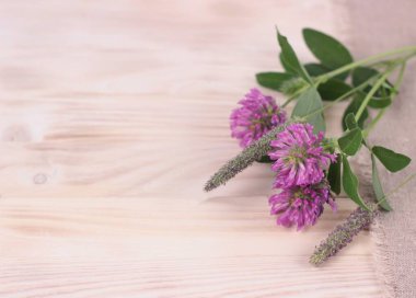 Oldukça kırsal bir yer. Yonca çiçekleri açık ahşap bir masada. Yonca resmi ve geleneksel tıpta kullanılır. Kopyalama alanı olan düz