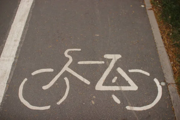 Bicycle sign or icon on the road in the park.Sign of Cycling lane close up.Copy space for text.Sport and recreation concept.