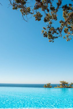 Köşesinde ardıç dalları ve deniz manzaralı sonsuz mavi yüzme havuzu. Yaz tatili eğlence konsepti.