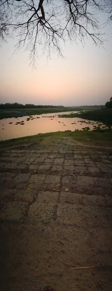 vertical panorama of sunset landscape with ground and branches of tree with a river flowing