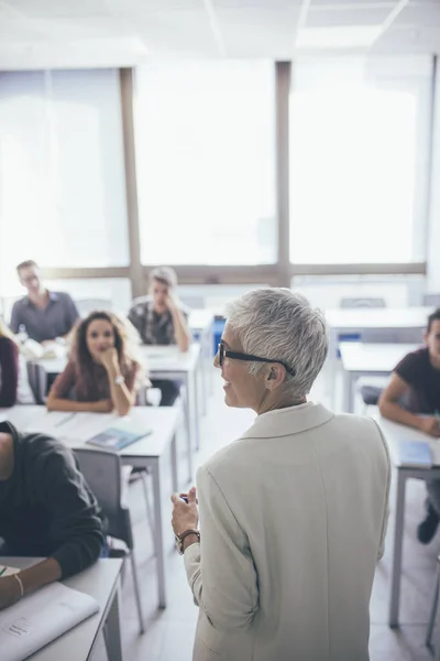 Back View Grey Haired Woman Teacher Stading Classroom Talking High — Stock Photo, Image