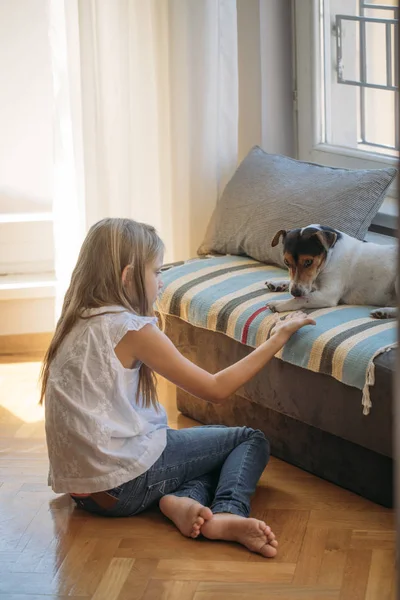 Hübsches Blondes Mädchen Spielt Hause Mit Ihrem Haustier — Stockfoto