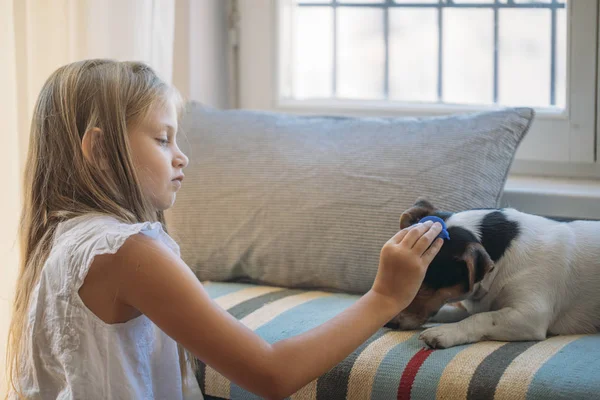 彼女の犬のペットを家庭で遊んでかなりブロンドの女の子 — ストック写真