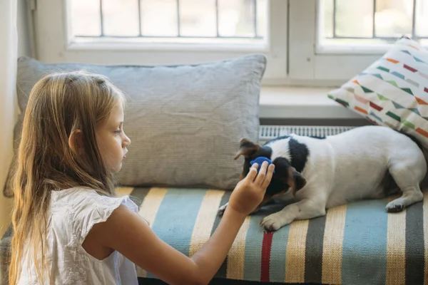 彼女の犬のペットを家庭で遊んでかなりブロンドの女の子 — ストック写真