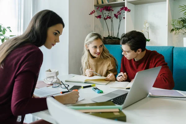 Groep Van Studenten Samen Studeren Bij Bibliotheek — Stockfoto