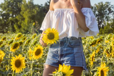 Denim ayakta ayçiçeği alanında yaz gününde giyen unrecognisable genç kadın.