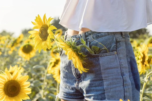 Jeune Femme Méconnaissable Portant Denim Debout Dans Champ Tournesol Jour — Photo