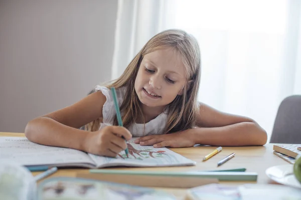 Schoolgirl Drawing — Stock Photo, Image