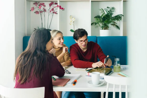 Studenti universitari che studiano insieme — Foto Stock