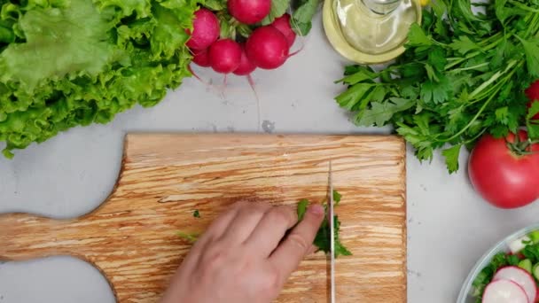 Mãos Mulher Segurando Faca Cortando Salsa Preparando Salada — Vídeo de Stock