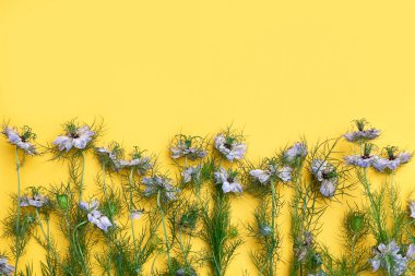 Dümdüz uzanmış mavi çiçeklerle pastel sarı arka planda