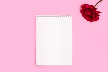 Boş not defteri ve pastel pembe arka planda taze kırmızı gül çiçeğiyle minimum yerleşim yeri. Metin için boşluk olan genel görünüm
