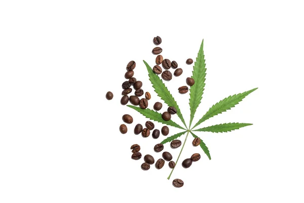 白い背景に隔離されたコーヒー豆と大麻のマリファナの葉のトップビュー 大麻入りケトコーヒーのコンセプト — ストック写真