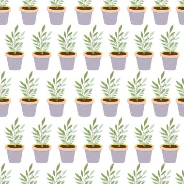 Seramik kaplarda bahçe ev bitkileri