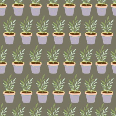 Seramik kaplarda bahçe ev bitkileri