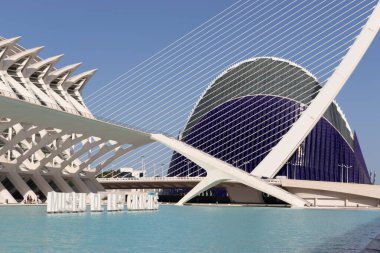 Valencia 'daki Bilim Müzesi Sanat ve Bilim Şehri' nin mimari kompleksinde.