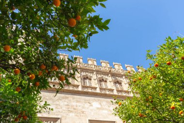 Llotja de la Seda ya da Lonja de la Seda, İpek Borsası, Valencia, İspanya 'da Valencia Gotik tarzı bir sivil bina.