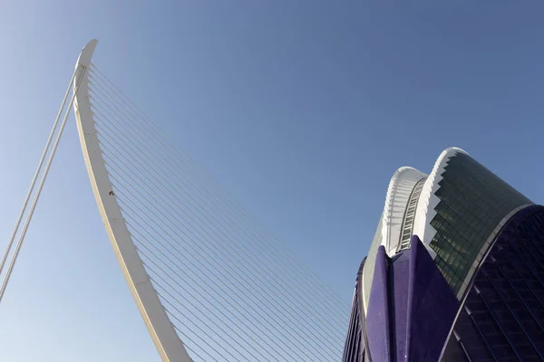 Museo Ciencias Valencia Complejo Arquitectónico Ciudad Las Artes Las Ciencias — Foto de Stock