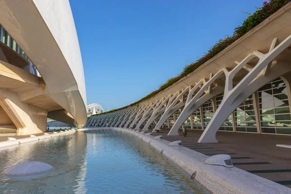 Wetenschapsmuseum Valencia Het Architectonisch Complex Van Stad Van Kunsten Wetenschappen — Stockfoto