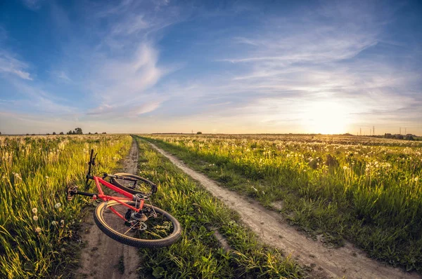 Bicicleta Brilhante Deitada Uma Estrada Terra Campo Pôr Sol — Fotografia de Stock