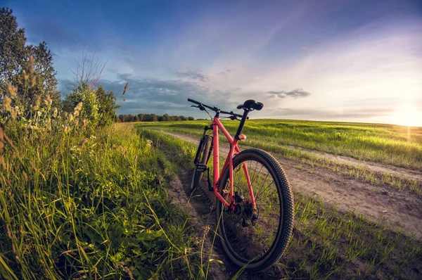 Bicycle near the road in the field at sunset — Stock Photo, Image