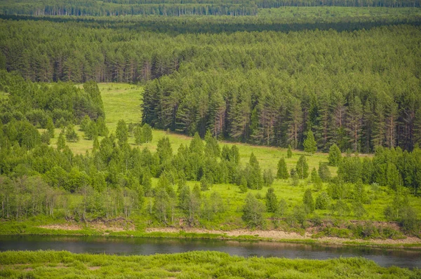 牧草地と晴れた日に森と美しい風景の川のデルタ — ストック写真