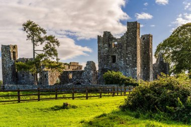 Eski abbey büyük yeşil ağaçlı ve mavi gökyüzü bulutlu Harabeleri