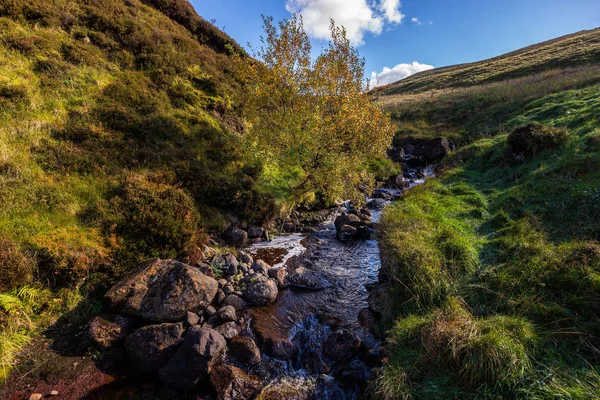 Landskap med stream mellan gröna kullar och enda träd — Stockfoto