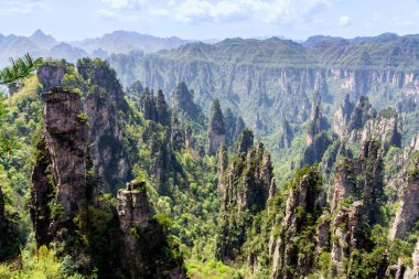 Zhangjiajie Orman Parkı. Pillar Dağları kanyona yükseliyor. Wulingyuan, Çin