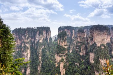 Zhangjiajie Orman Parkı. Pillar Dağları kanyona yükseliyor. Wulingyuan, Çin