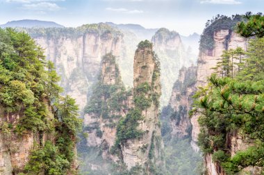 Zhangjiajie Orman Parkı. Pillar Dağları kanyona yükseliyor. Wulingyuan, Çin