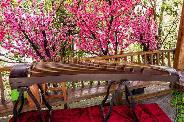 Güzel çiçek çiçekleri arka planda Guzheng enstrüman. Bu eski bir Çin klasik enstrüman