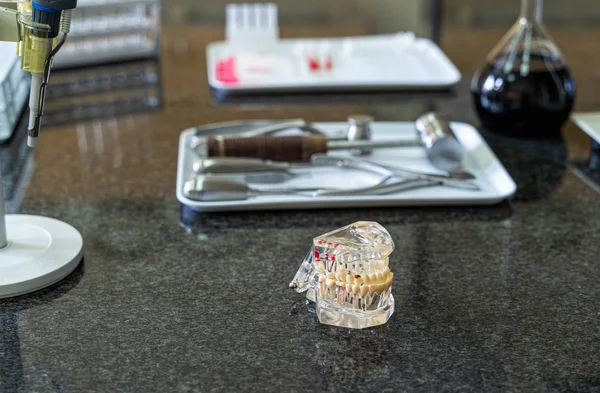 Artificial human jaw with tooth and surgical tools set on laboratory worktop