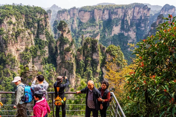 Turistas mayores tomando fotos en Wulingyuan, pilares gigantescos que se elevan desde el cañón en el fondo — Foto de Stock