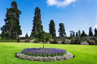 Powerscourt Garden, çiçek sıraları, kesilmiş çalılar ve ağaçlar, İrlanda