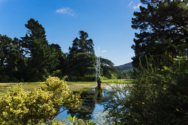 Un lago con fuente, rodeado de árboles verdes, Wicklow, Irlanda —  Fotos de Stock