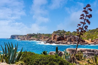 Sahilde ve koyda kayalıklar ve turkuaz deniz suyu, Cala Salmunia, Mallorca, İspanya