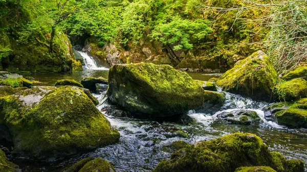 Поток или ручей, протекающий между кошачьими скалами, вода, осень, Ирландия — стоковое фото