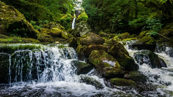 Поток или ручей, протекающий между кошачьими скалами, вода, осень, Ирландия — стоковое фото