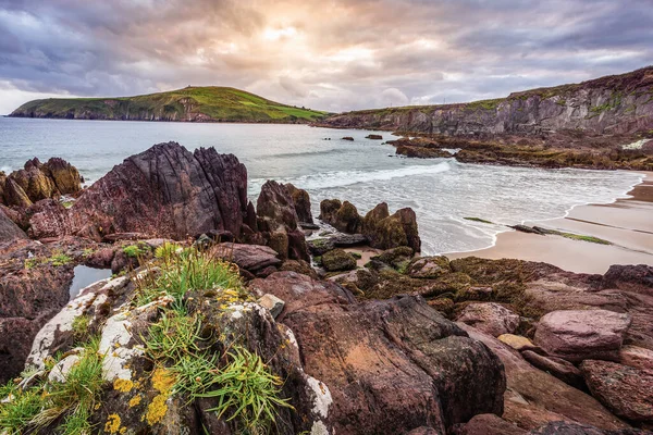 Praia pequena e escondida com vista para a baía de Dingle e farol em Co. Kerry, Irlanda — Fotografia de Stock